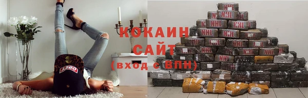 сатива Пестово