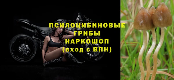дистиллят марихуана Пересвет