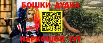 дживик Лесосибирск