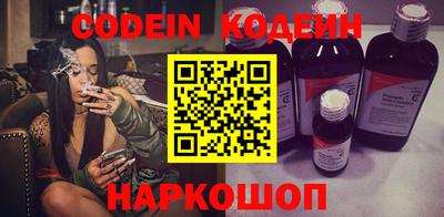 МДПВ Кингисепп