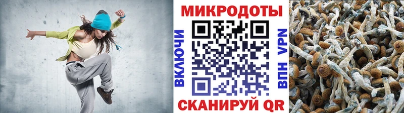 Псилоцибиновые грибы мицелий  Симферополь 