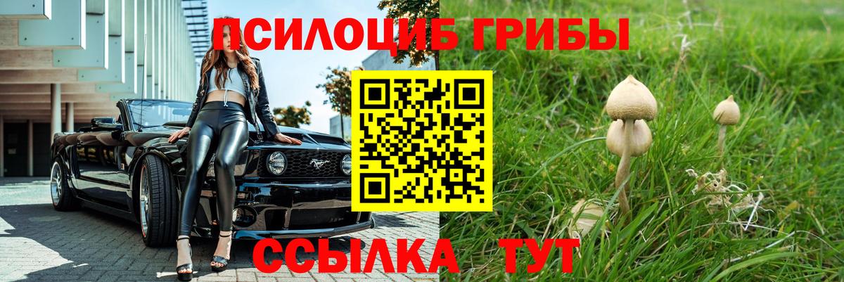 Псилоцибиновые грибы Psilocybine cubensis  Вход с VPN  Симферополь  Галлюциногенные грибы Psilocybine cubensis 
