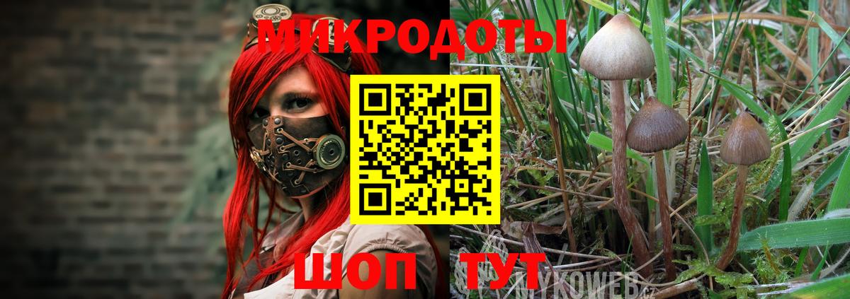 Псилоцибиновые грибы MAGIC MUSHROOMS Симферополь